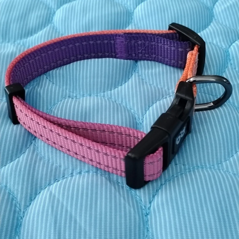 Colorful Pink and Purple Dog Collar